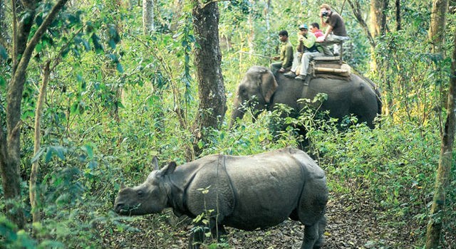 chitwan jungle safari
